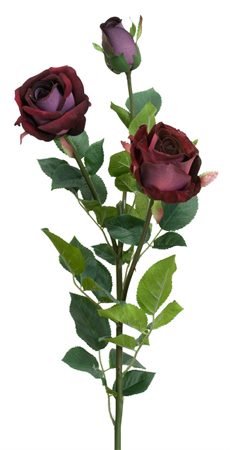 ROSA VELVET X3 CM 91 BORDEAUX 12/144 DF